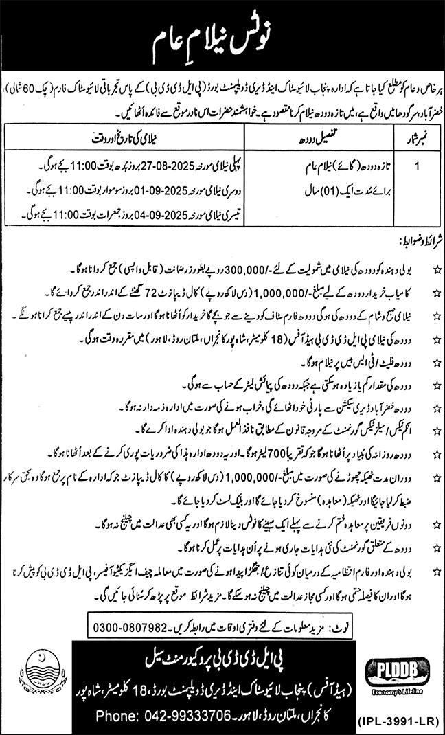 Punjab Livestock & Dairy Development Lahore Tender Notice
